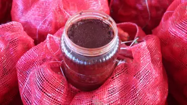 Karaisalı Biberi Hasadı ve Salça Sezonu