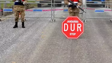 Tilki ile köpek boğuştu, bir belde karantinaya alındı