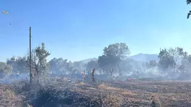 Muğla'da Tarlada Yangın, Hızlı Müdahale ile Söndürüldü