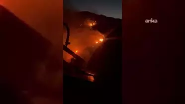 Söke'de Orman Yangını Kontrolden Çıkıyor