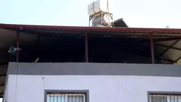 Defne'de Bahçede Çıkan Yangın Ev Sıçramadan Kontrol Altına Alındı