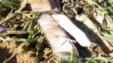 Eğitim Helikopteri Mısır Tarlasına Düştü