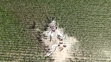 Uçağın enkazı kazanın şiddetini gözler önüne serdi! Kağıt gibi ezildi