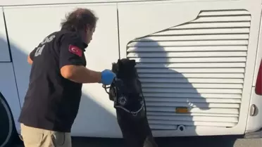 Körfez'de Eroin Operasyonu: 6.7 Kg Ele Geçirildi