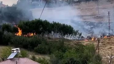 Yüksekova'da Anız Yangını