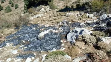 Altınyayla'da Yangın Kontrol Altına Alındı