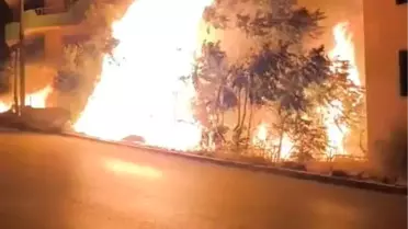 Gemlik'te Yangın Panik Yarattı