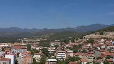 Bursa'da Ormanda Yangın Çıktı