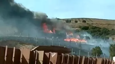 Erdek'te Orman Yangını Çıktı