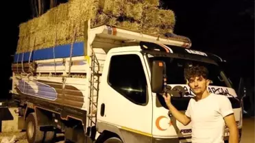 Gümüşhane'de Trajik Kamyon Kazası
