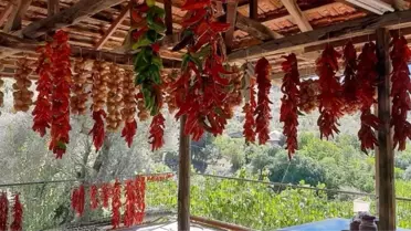Muğla'da Kış Hazırlığı: Kadınlar Biber Kurutuyor