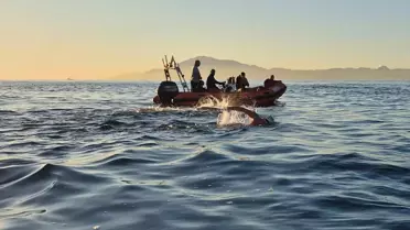 Otizmli yüzücü Tuna Tunca, Cebelitarık Boğazı'nı geçmeye başladı 