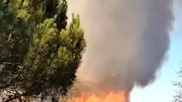 Tekirdağ'da Çıkan Yangın Büyümeden Söndürüldü