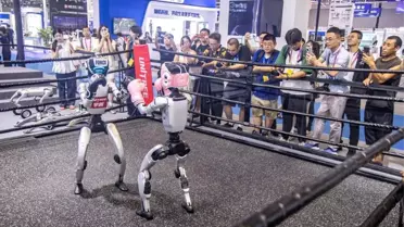2025 Dünya Akıllı Endüstri Fuarı Chongqing'de Başladı