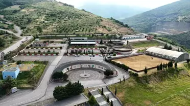 Samsun Atlı Spor Tesisleri 75 Bin Ziyaretçi Ağırladı