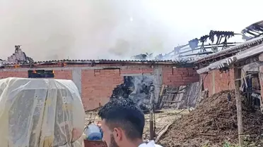 Pazaryeri'nde Ahırda Yangın