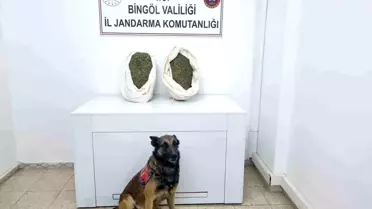 Bingöl'de 9 Kilo Uyuşturucu Ele Geçirildi