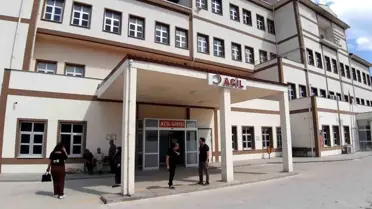 Bolu'da Ayı Saldırısı: Avlanma Kararı Alındı