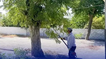 Çine'de Okul Temizlik Çalışmaları