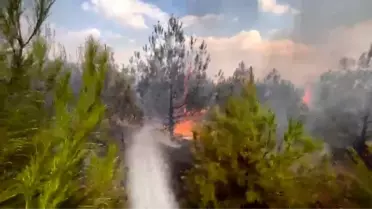 Elazığ'da Orman Yangını Kontrol Altına Alındı