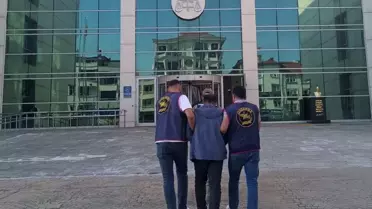 Fındık Hırsızına Tutuklama