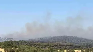 Mardin'de Orman Yangınına Müdahale