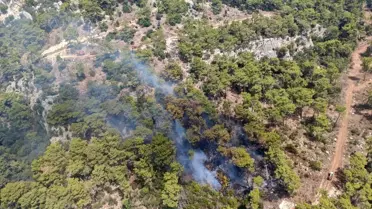 Kemer'deki Orman Yangını Kontrol Altında