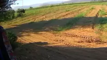 İzmir'de Eğitim Uçağı Düştü: Pilot Berfu Hatipoğlu Hayatını Kaybetti