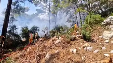 Kemer'de Orman Yangını Kontrol Altında