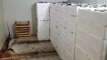 Bursa'da Balık Denetimleri Sıklaştırıldı, Cezalar Kesildi