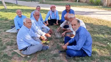Suruç'ta Yaşlılar Mangala Oyunu ile Zaman Geçiriyor