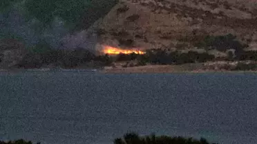 Bitlis'te Orman Yangını