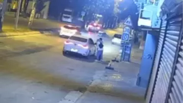 Ceyhan'da Başıboş At Kazaya Neden Oldu