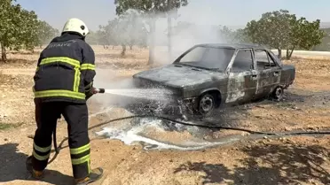 Birecik'te Otomobil Yangını