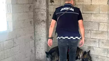 Kilis'te Okul Önlerinde Güvenlik Denetimi
