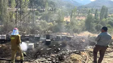 Menteşe'de Arı Kovanları Yangında Zarar Gördü