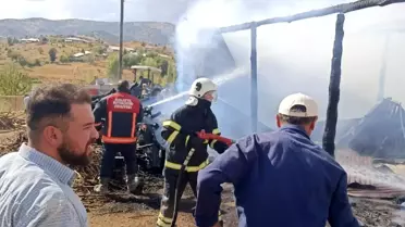 Malatya'da Ahır Yangını: 10 Büyükbaş Hayvan Telefon Oldu