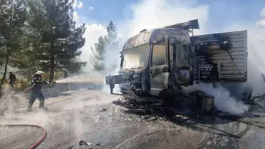 Pozantı'da TIR Yangını: Hayvanlar Tahliye Edildi