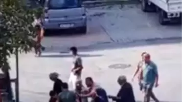 Beylikdüzü'nde Köpek Krizi: Kavga ve Bıçaklı Tehlike