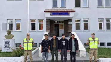 Bitlis'te Göçmen Kaçakçılığı Operasyonu