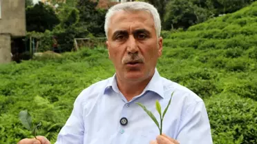 Çay Müstahsilleri 12 Eylül Darbesinde Zor Günler Geçirdi