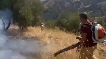 Aydın'da Yangın 2 Saatte Kontrol Altına Alındı