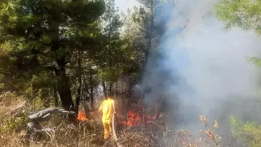 Buldan'da Orman Yangınına Hızla Müdahale