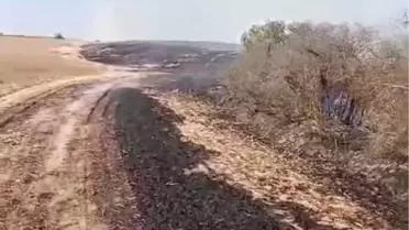 Kapaklı'da Yangın: 8 Dönüm Arazi Kül Oldu