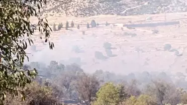 Mardin'de Orman Yangını Kontrol Altına Alındı