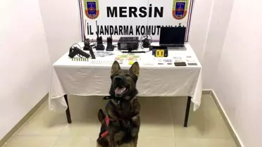 Mersin'de Uyuşturucu Operasyonu: 1 Şahıs Tutuklandı