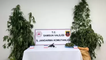Samsun'da Uyuşturucu Operasyonu