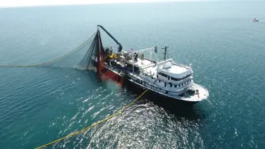 Sinop'ta Balık Sezonu Başladı