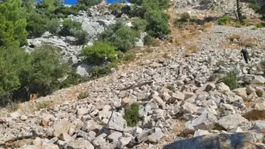 Arıcı Uçuruma Düştü