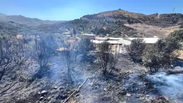 Antakya'da Bahçede Yangın Kontrol Altına Alındı